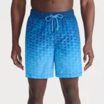 Yelir World Blue Gradient Swim Shorts (2)
