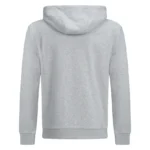Yelir World Classic Y Logo Hoody Grey (1)